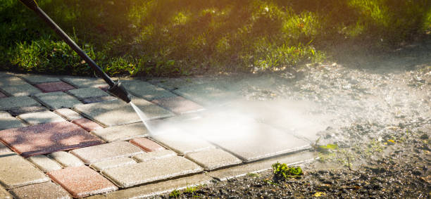 Animal Enclosure Cleaning in Taft, FL